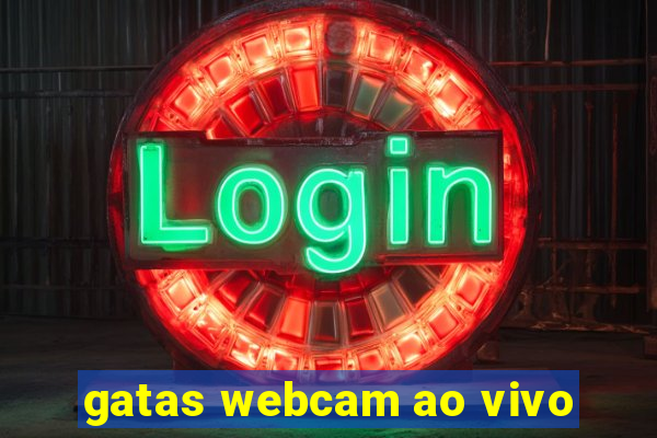 gatas webcam ao vivo